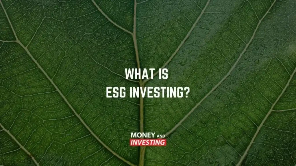 Close-up of a green leaf with visible veins, featuring the question about ESG investing overlaid on it.